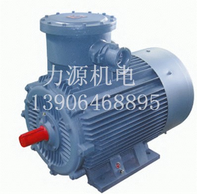 YB-H系列船用隔爆型三相異步電動機(jī)